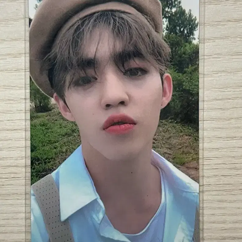 세븐틴 에스쿱스 언오드 호프 포카 양도