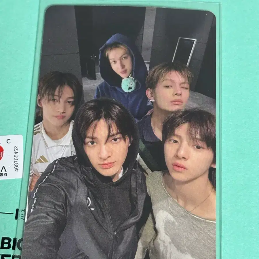 코르티스 코르티스볼 단체 포카