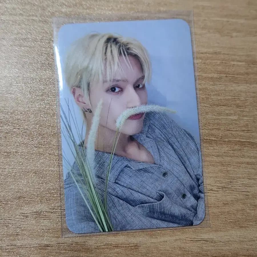 ATEEZ 에이티즈 우영 양면 포카 GOLDEN HOUR 강아지풀 디마뮤