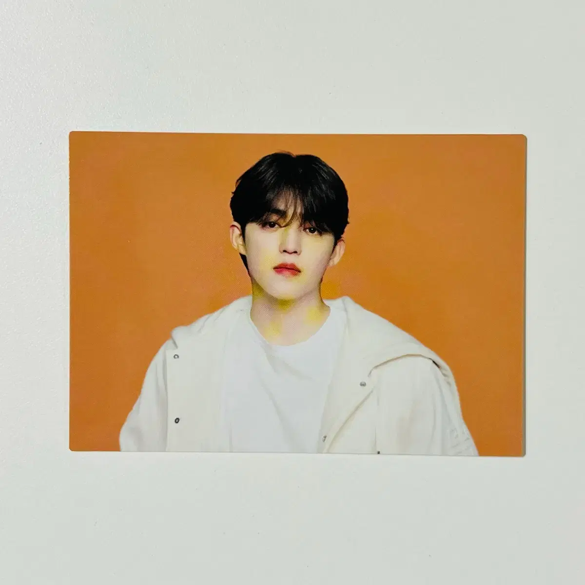 세븐틴 에스쿱스 일본 투어 팔로우 어게인 포카
