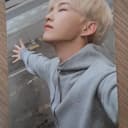 호찌 미개봉 인형 양도 + 호시 헹가래 포카 4