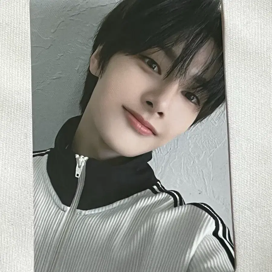 스트레이키즈 스키즈 skz 락 사웨럭드 아디다스 아이엔 양정인 포카