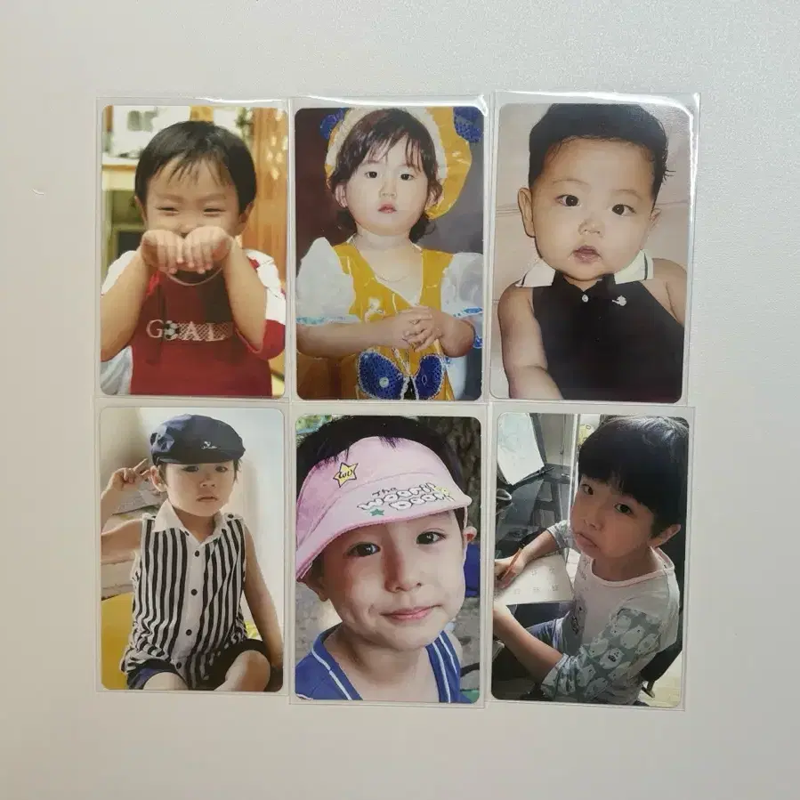판완) 보넥도 19.99 아기포카 1