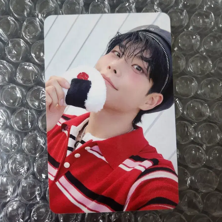 주니지니 아스트로 포토카드 MJ