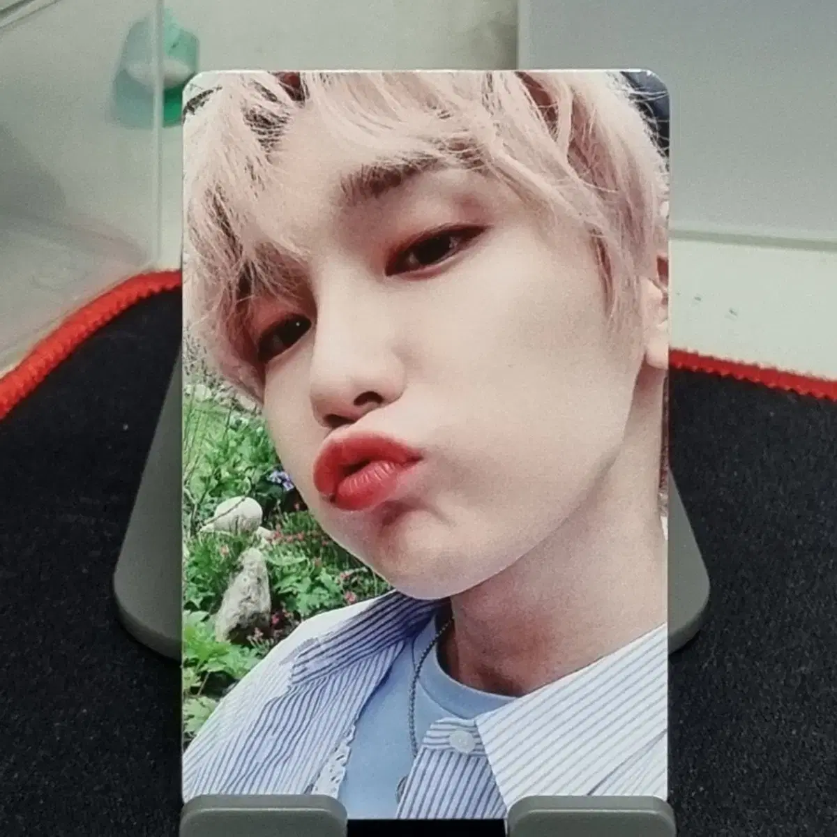 JBJ95 spark 켄타 포카
