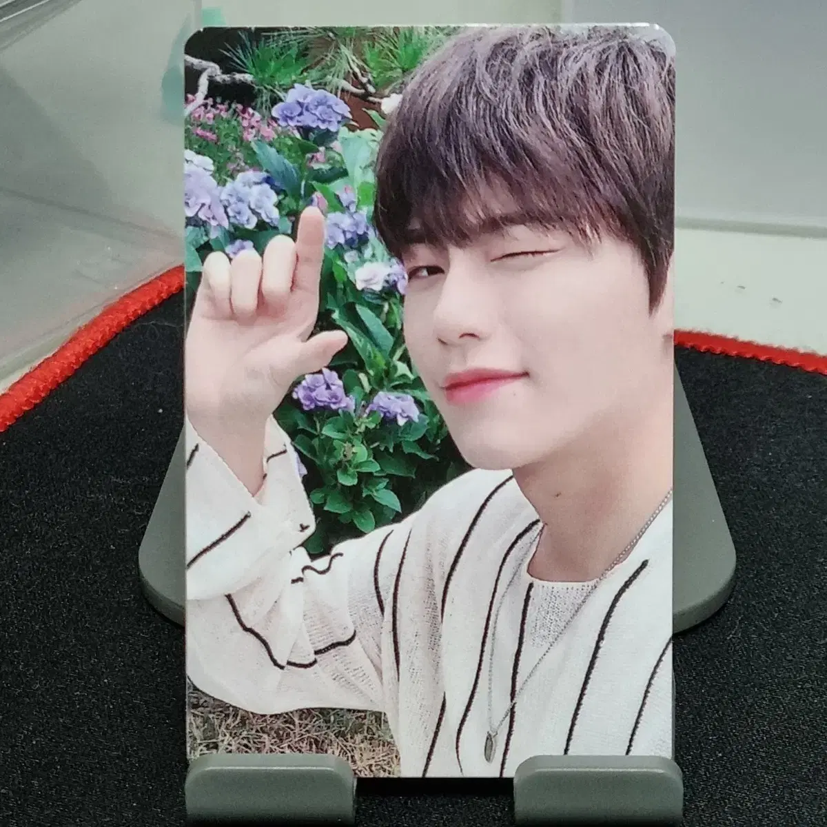 JBJ95 상균 포카