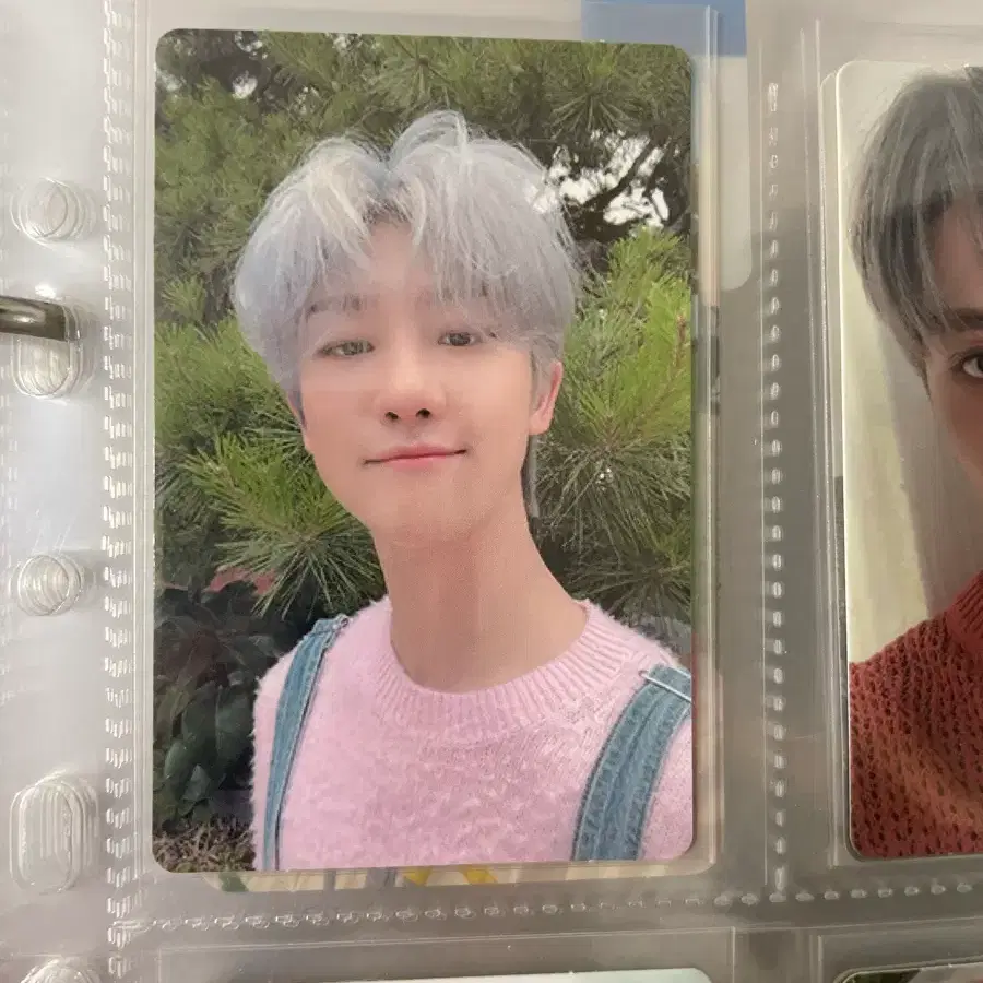 세븐틴 디에잇 언오드 독 포카