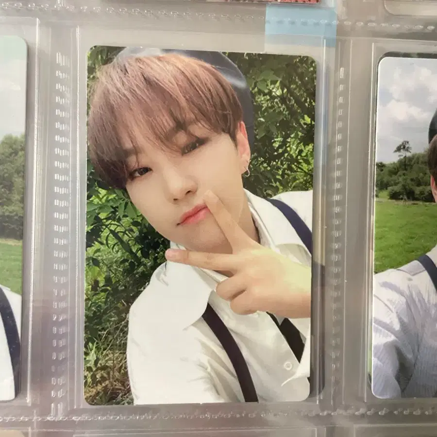 세븐틴 호시 언오드 독 포카 1