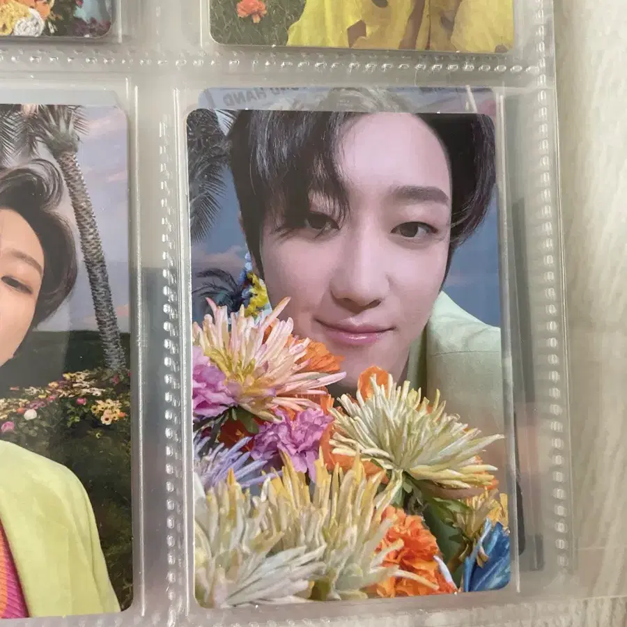 세븐틴 디에잇 뉴월드 섹터17 포카