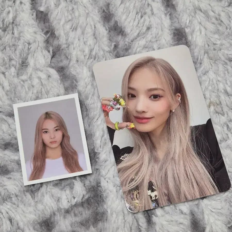 엔믹스 지니 블라인드 패키지 포카 & 증명사진