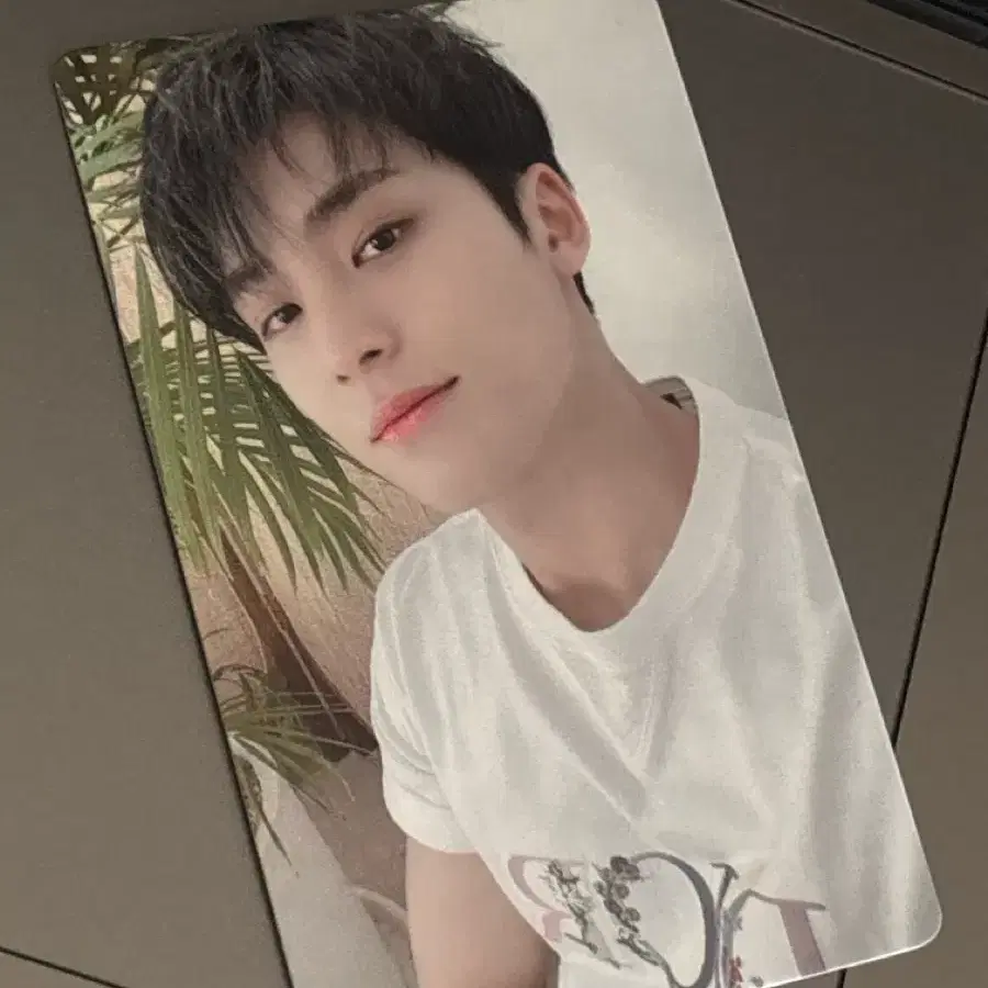 세븐틴 민규 your choice 애플뮤직 포토카드 SVT 포카