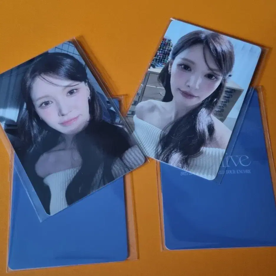 레드벨벳 웬디 wealive 콘서트 포카