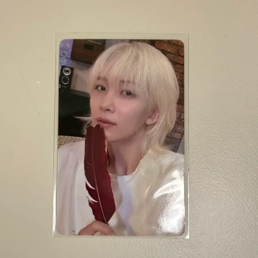 세븐틴 정한 스필더필즈 이즈위 포카 럽머페 1