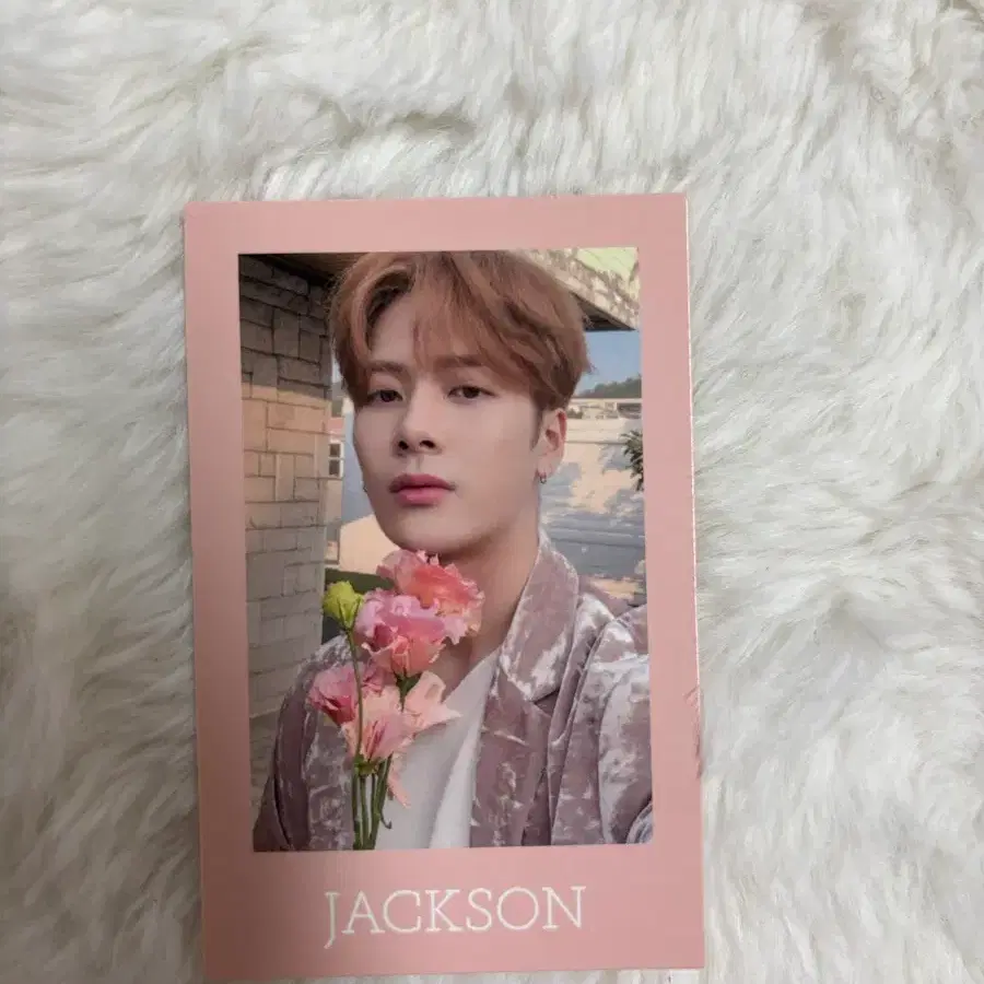 GOT7 잭슨 Present YOU & ME 포토카드