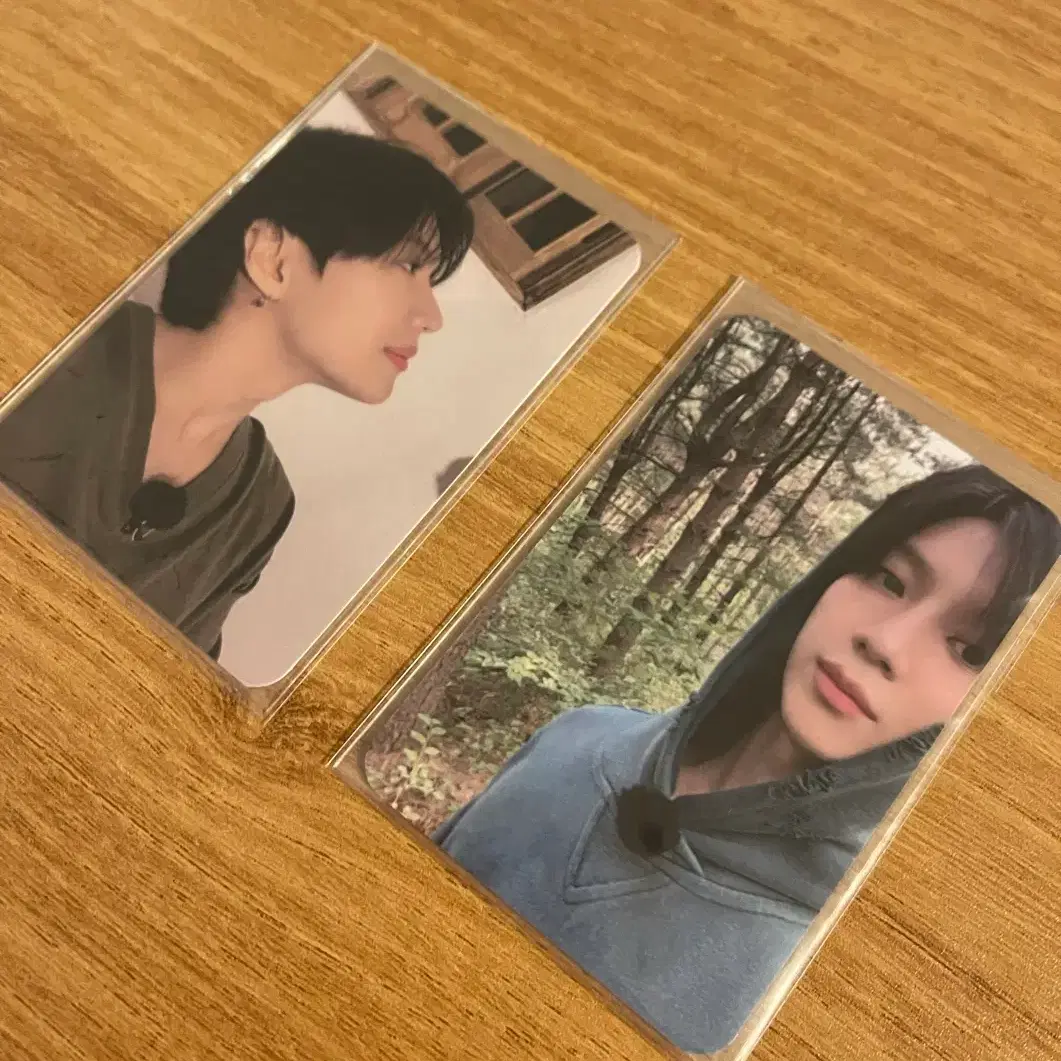 샤이니 태민 레어탬 포카