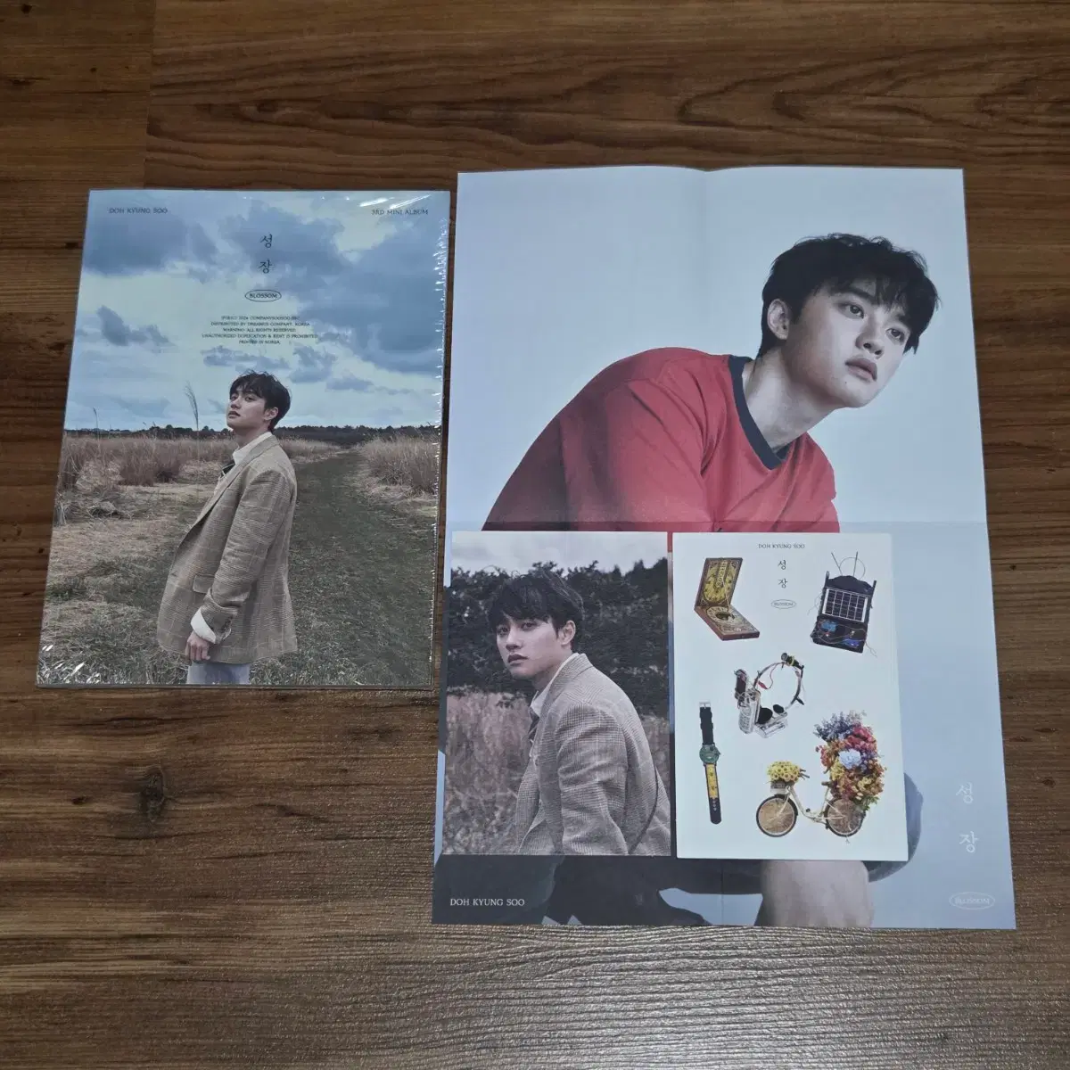 (포카X) 도경수 3집 성장 마스 버전 앨범 엑소 디오