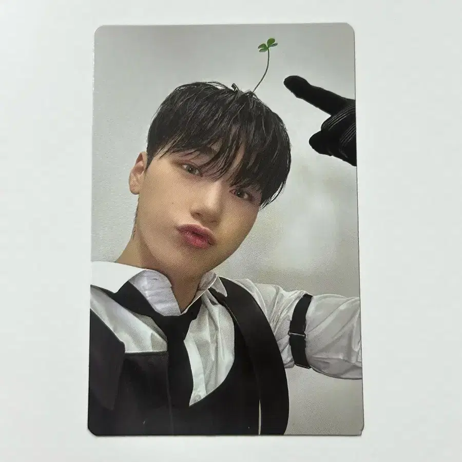 에이티즈 산 포카 판매