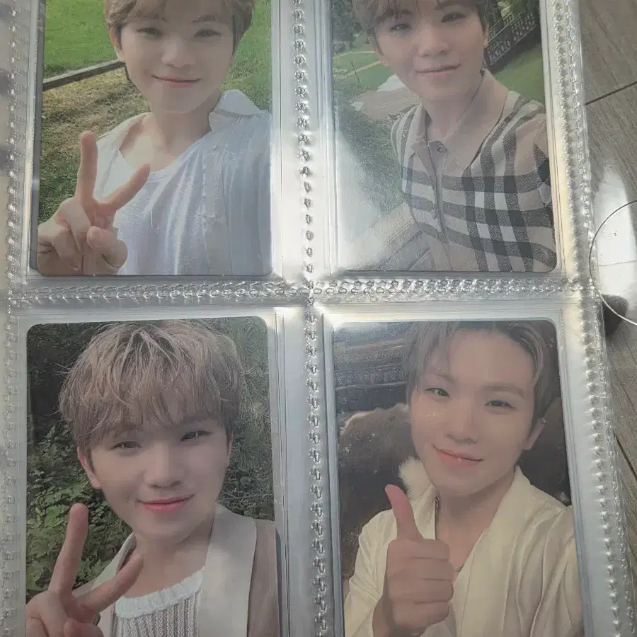 세븐틴 소셜클럽 우지 포카 판매
