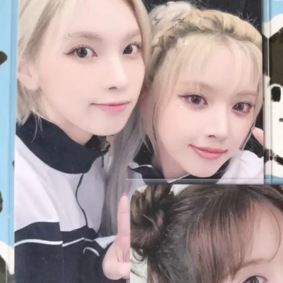구매) 지우 배이 엔믹스 유닛 포카 구합니다 1