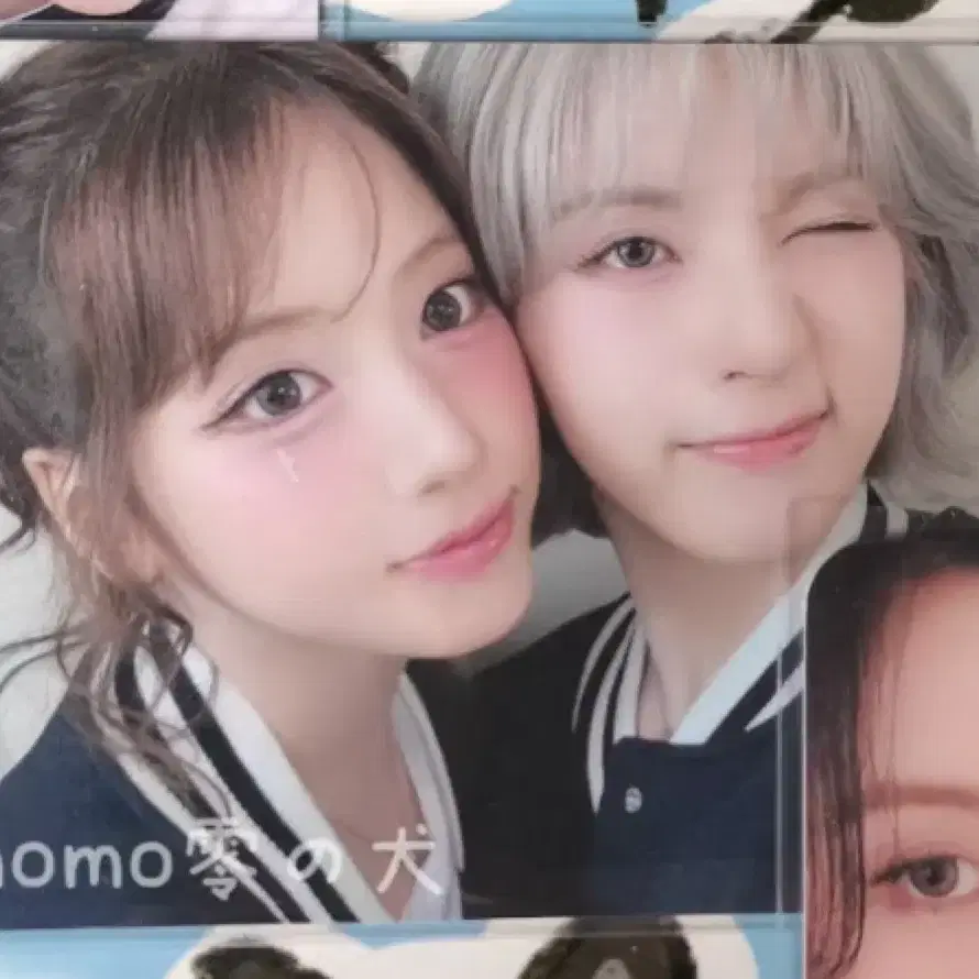 구매) 지우 배이 엔믹스 유닛 포카 구합니다 2