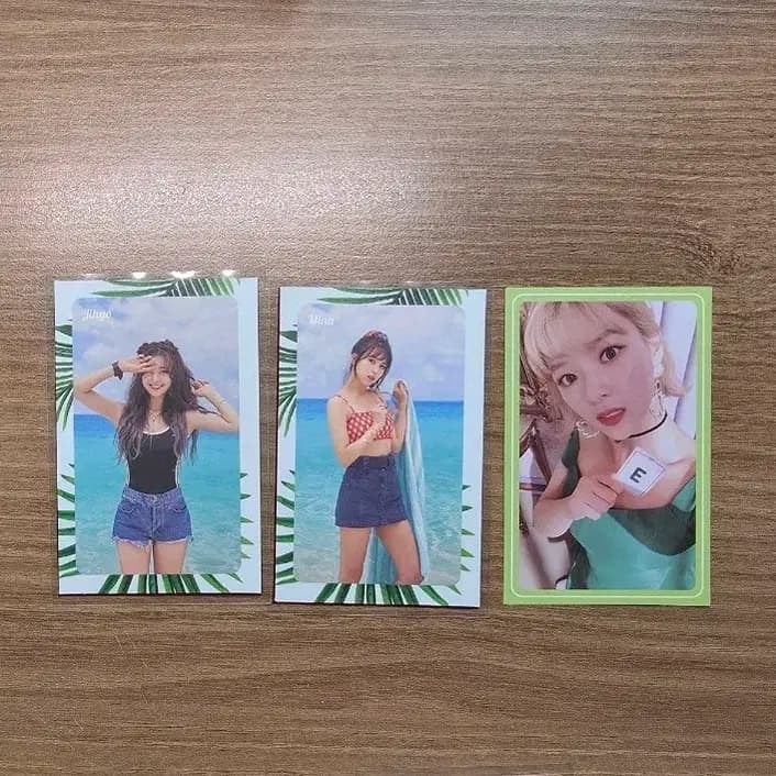 트와이스 정연 지효 미나 왓이즈럽 댄나 포카 포토카드 twice 1