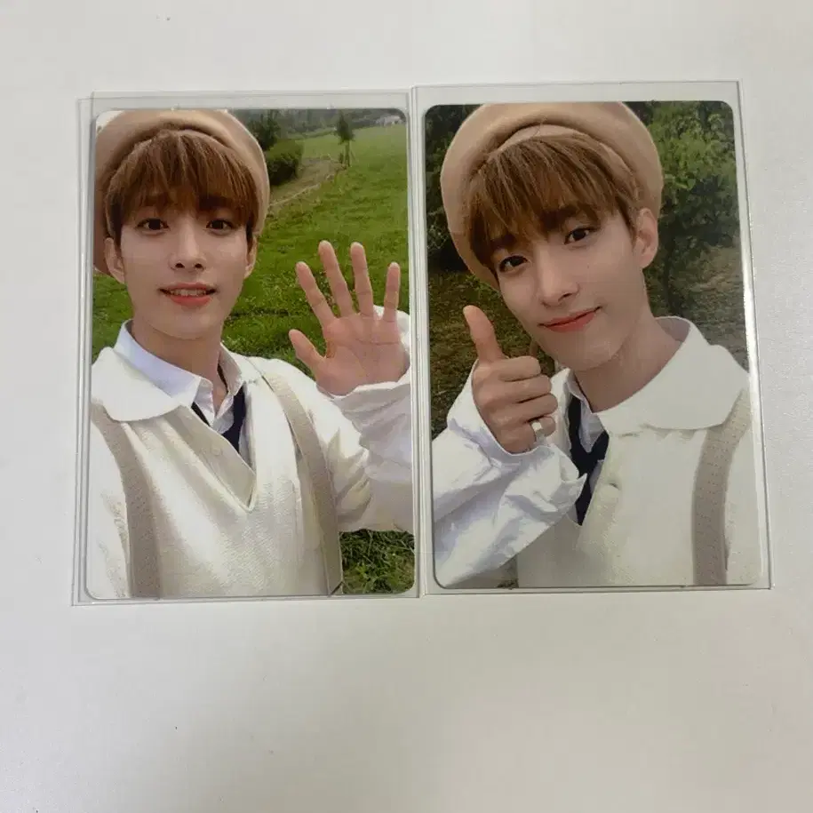 세븐틴 언오드 호프 버전 앨범 포카 도겸 베레모 양도해요
