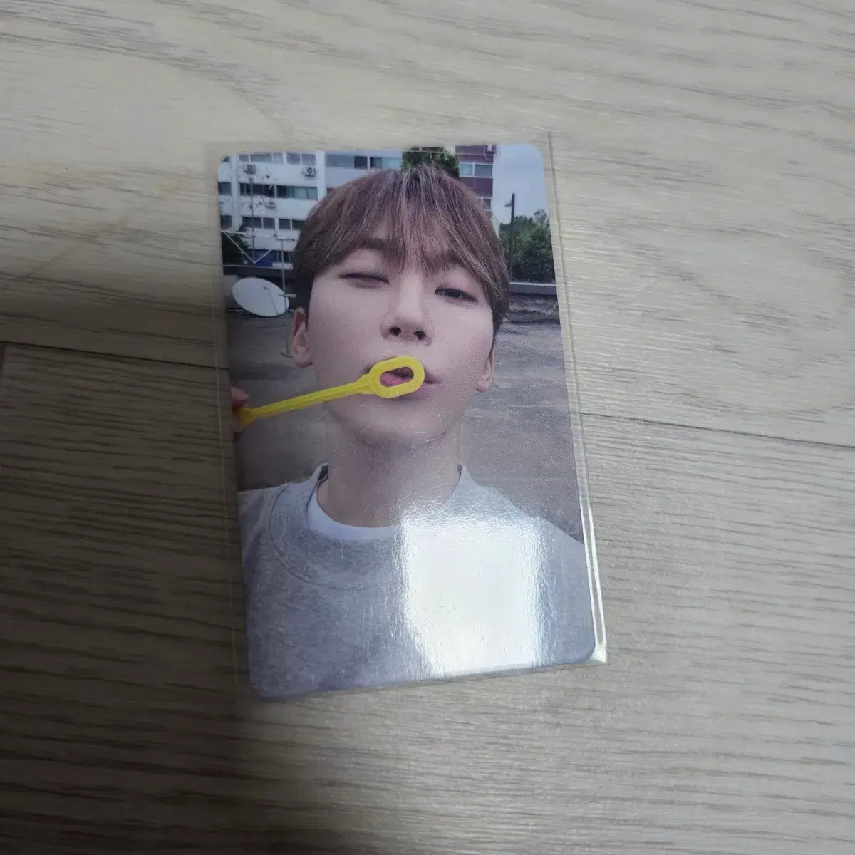 세븐틴 승관 팔콘 재팬 나고야 회장 한정 포카