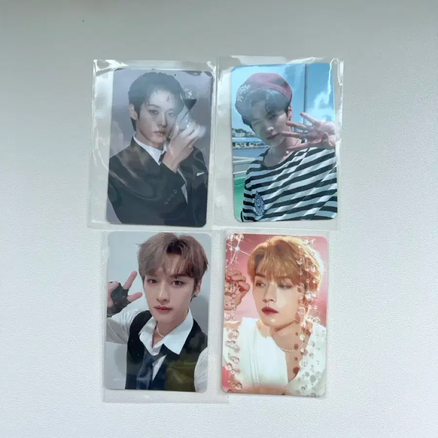 스트레이키즈 리노 포카