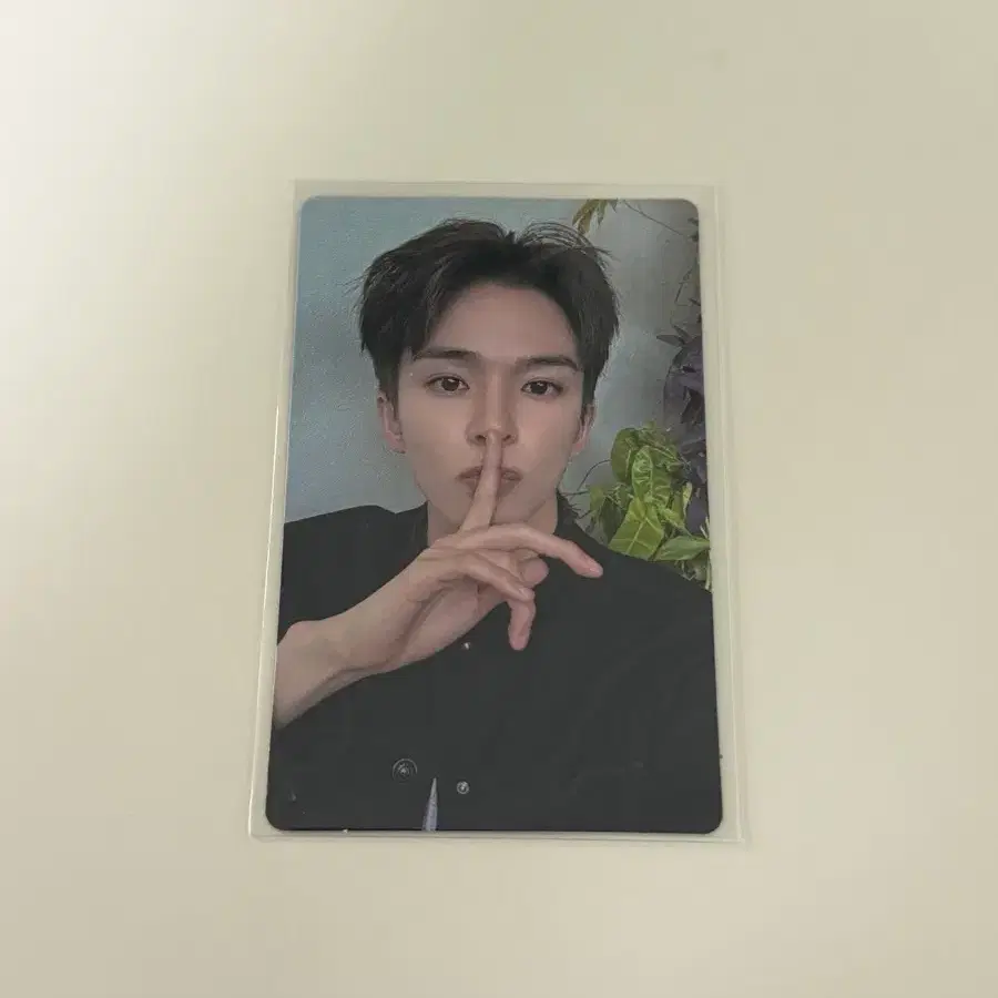 트레저 아사히 포토카드 포카 PLEASURE 위버스
