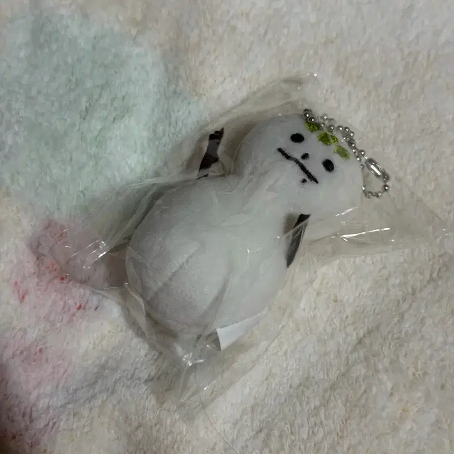 에스파 카리나 송이 인형 윈터 포카 싸인 폴라 칼룡이 1