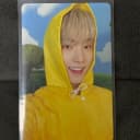 세븐틴 디노 포카 1