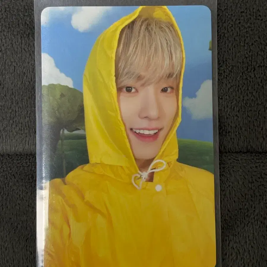 세븐틴 디노 포카