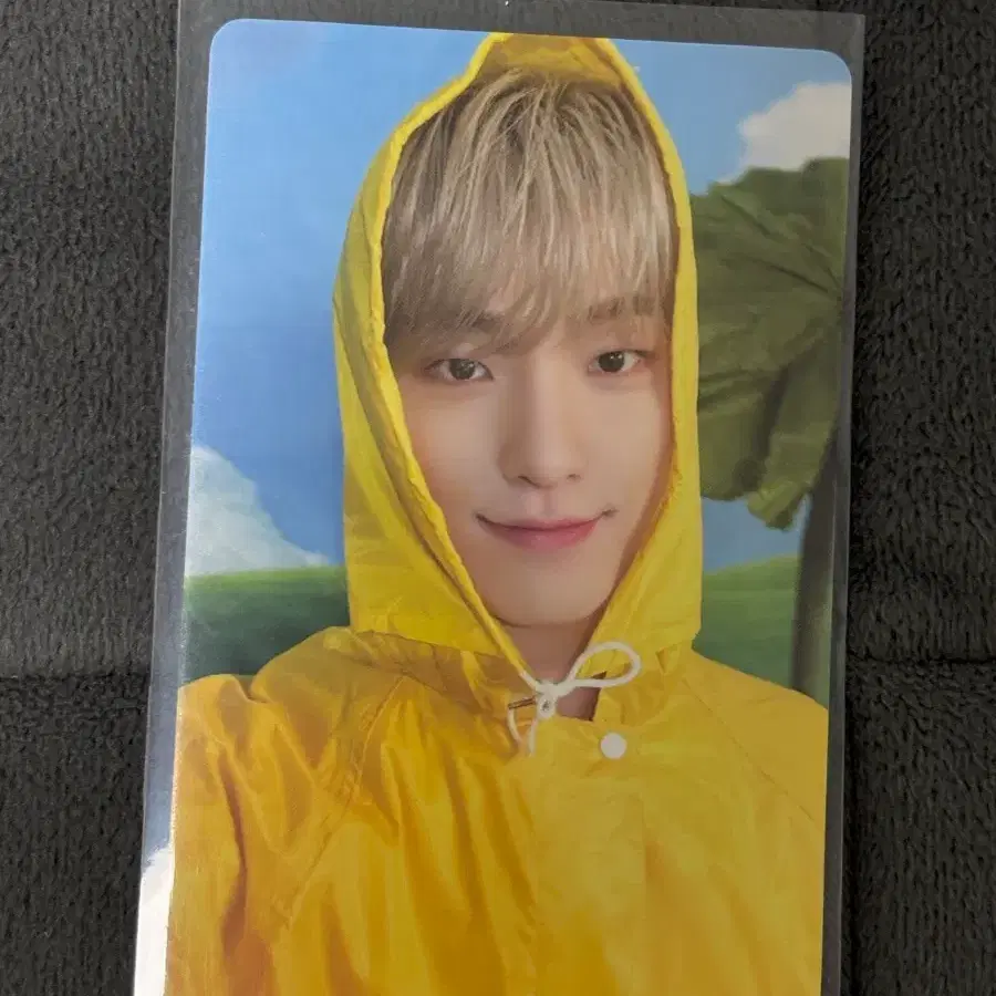 세븐틴 디노 포카 2