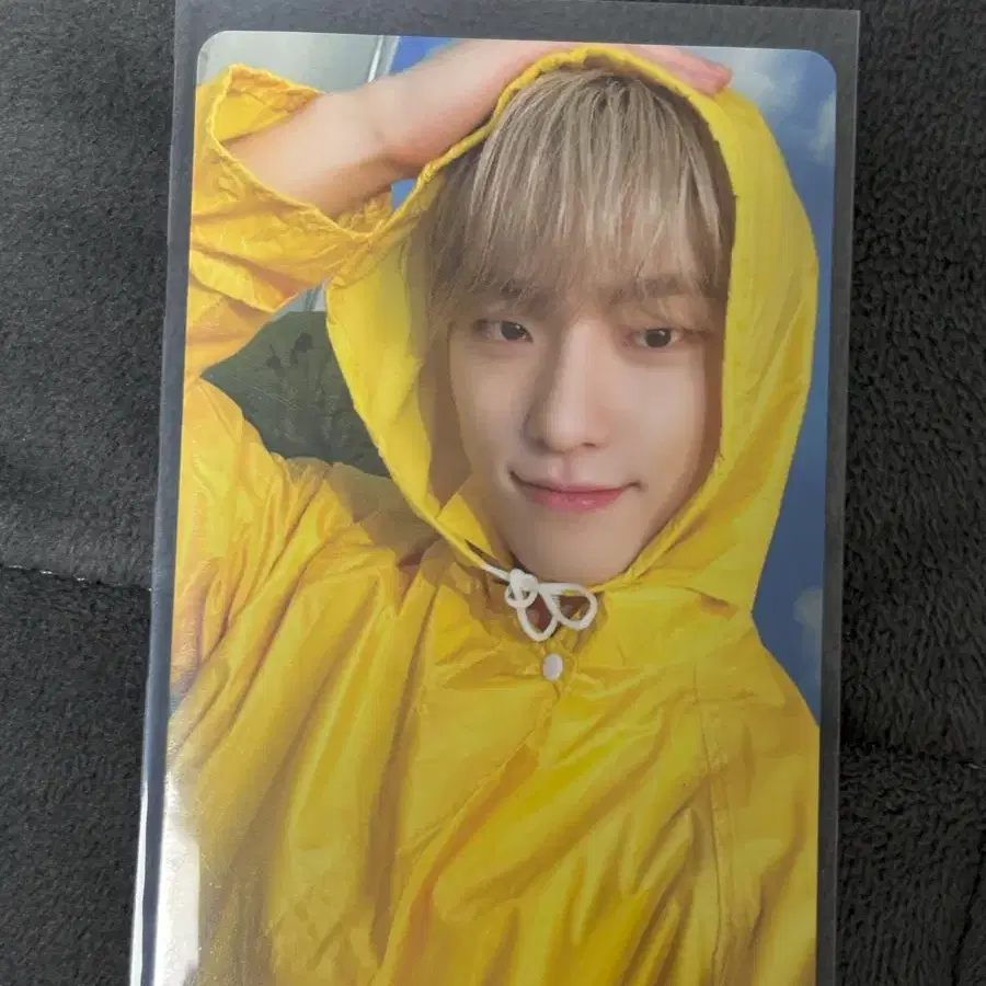 세븐틴 디노 포카 3
