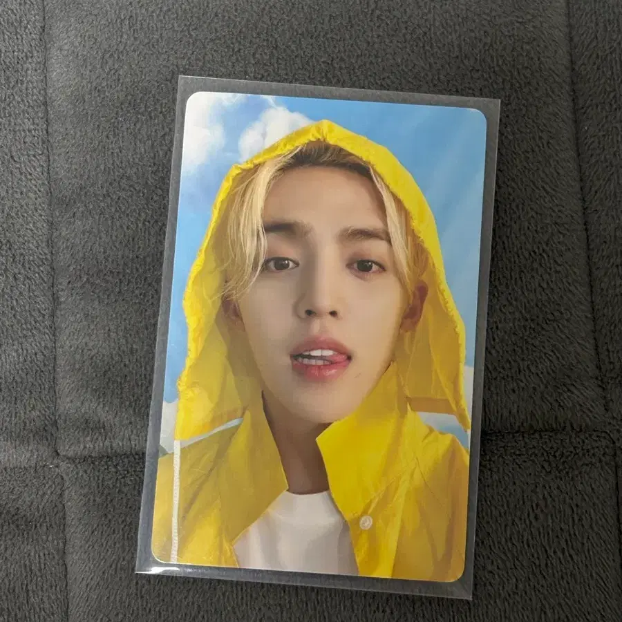 세븐틴 에스쿱스 포카 1
