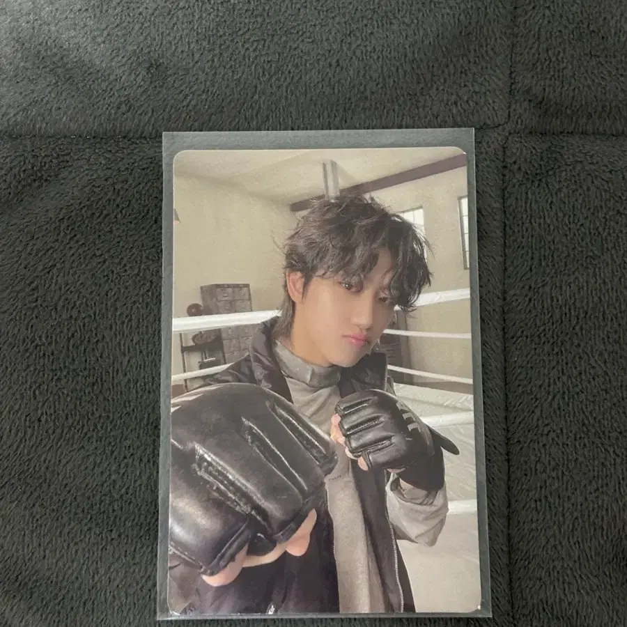 세븐틴 디에잇 포카