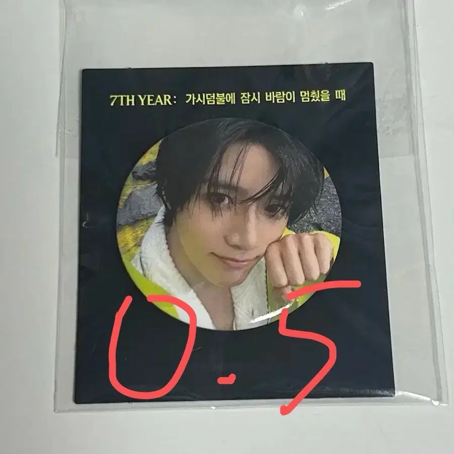 투모로우바이투게더 가시덤불 뱃지 포카 판매 3