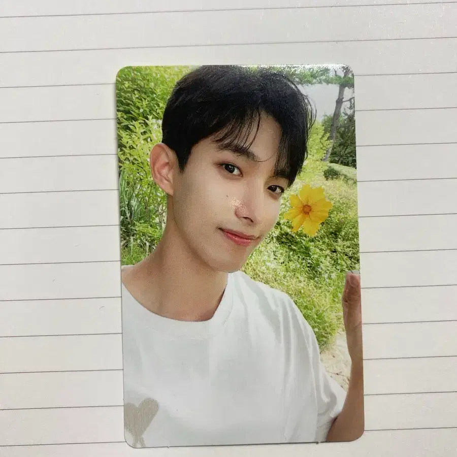 세븐틴 소셜클럽 도겸 포카 양도해요