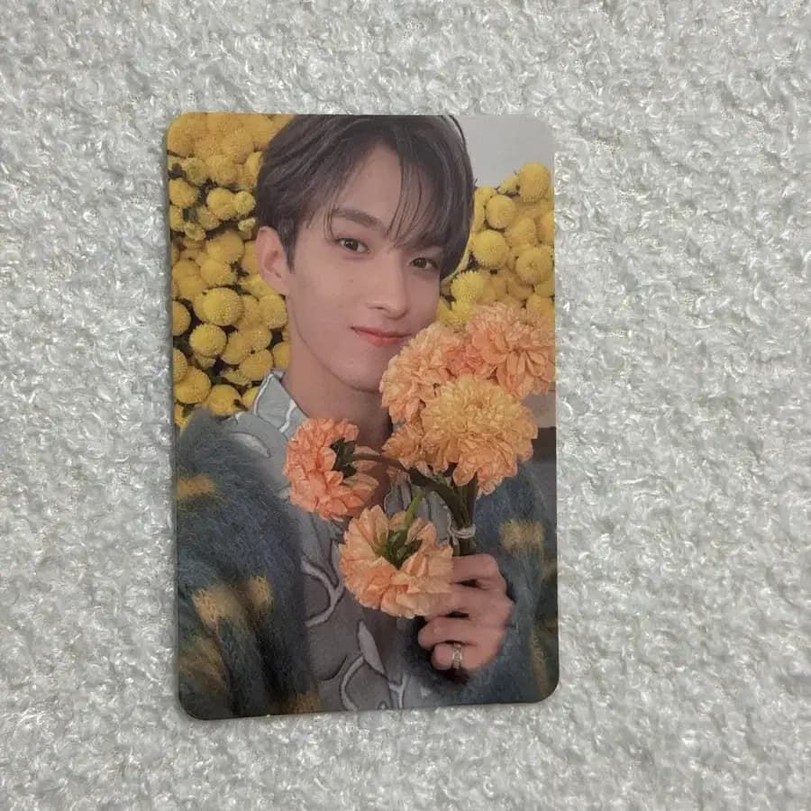 세븐틴 도겸 유어초이스 포카 svt DK