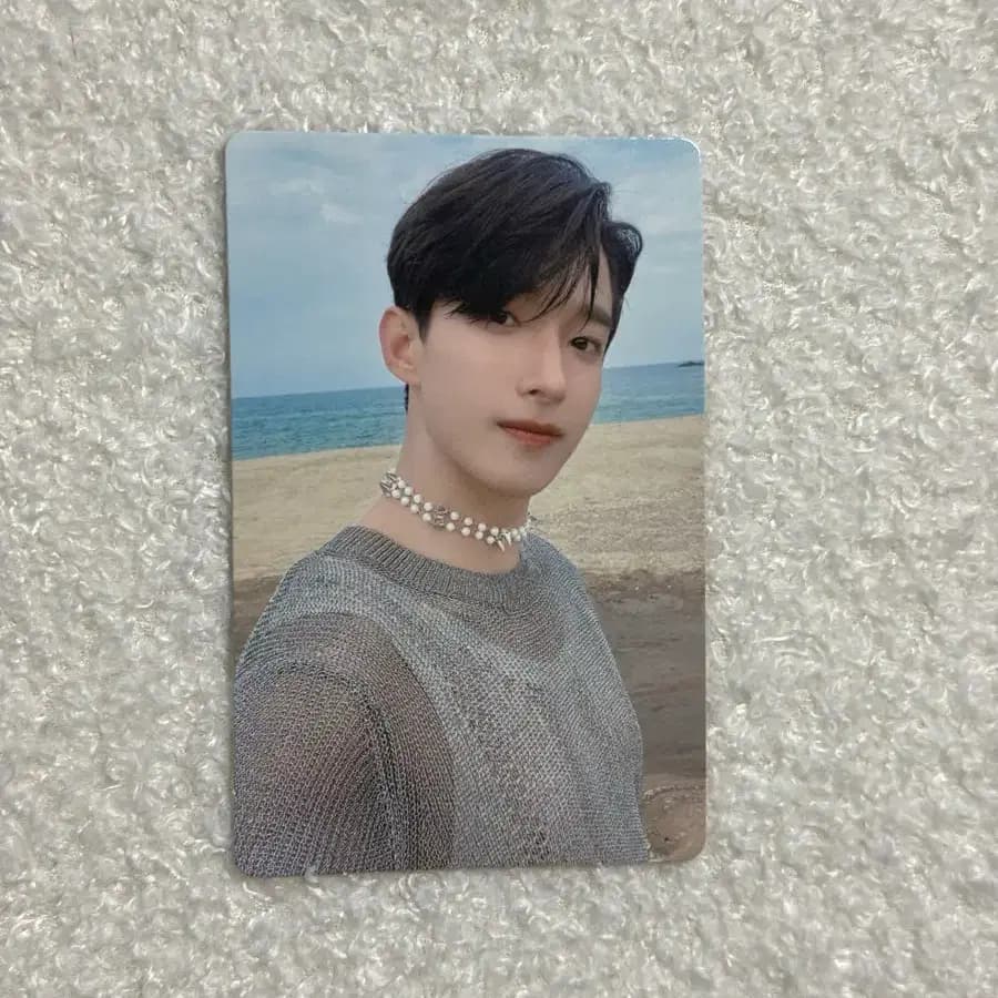 세븐틴 도겸 아타카 락윗유 포카 svt DK