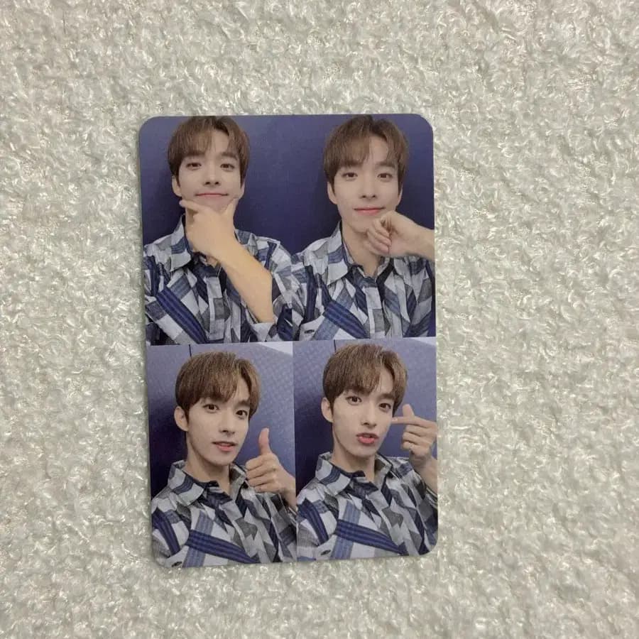 세븐틴 도겸 포카 svt DK