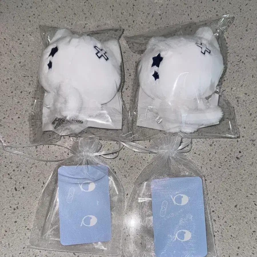 미개봉) 앤팀 유마 인형 미야윰 선입금 특전 포함 비공굿 포카 2