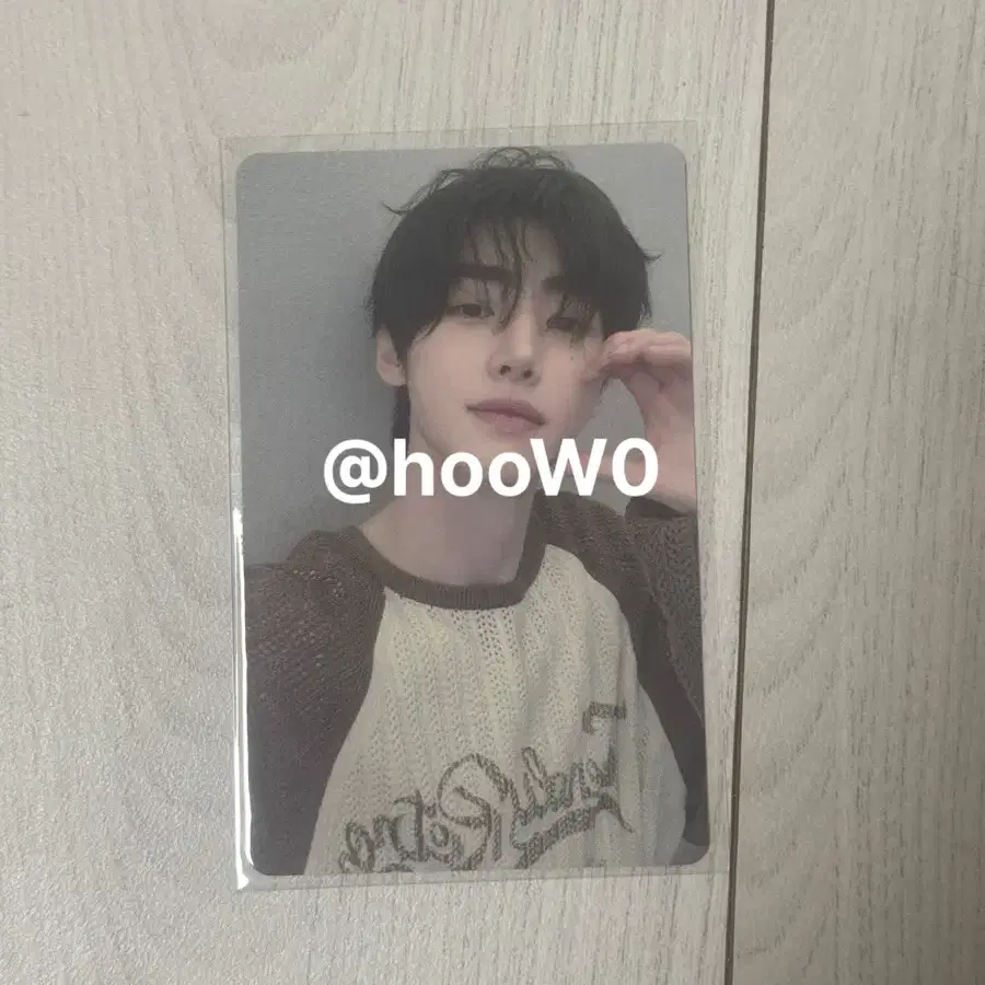 위버스콘 엔하이픈 성훈 포카 AliExpress 2024 Weverse