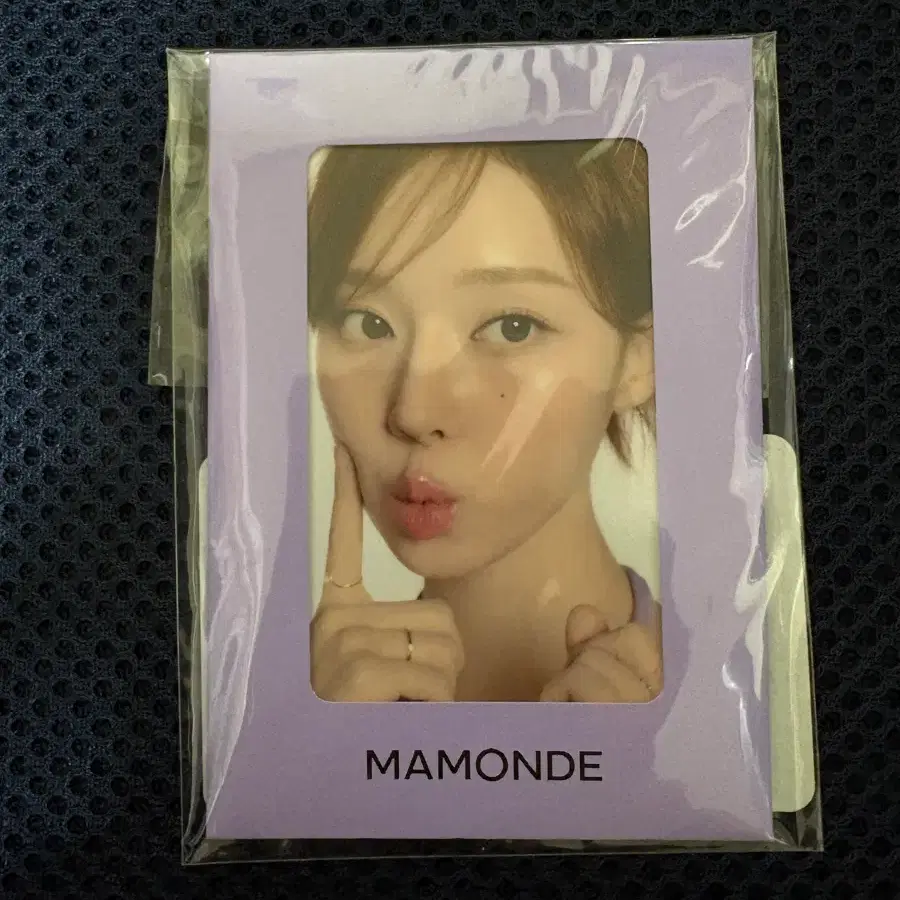마몽드 윈터 포토카드 에스파 포카