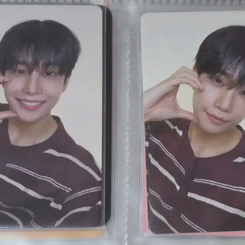 아스트로 주니지니 DICE MJ 미공포 포카 1