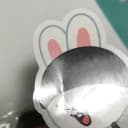 리노 리빗 스키주 팝업 특전 증사 스티커 포카 여권 포토카드 증명사진 스 2