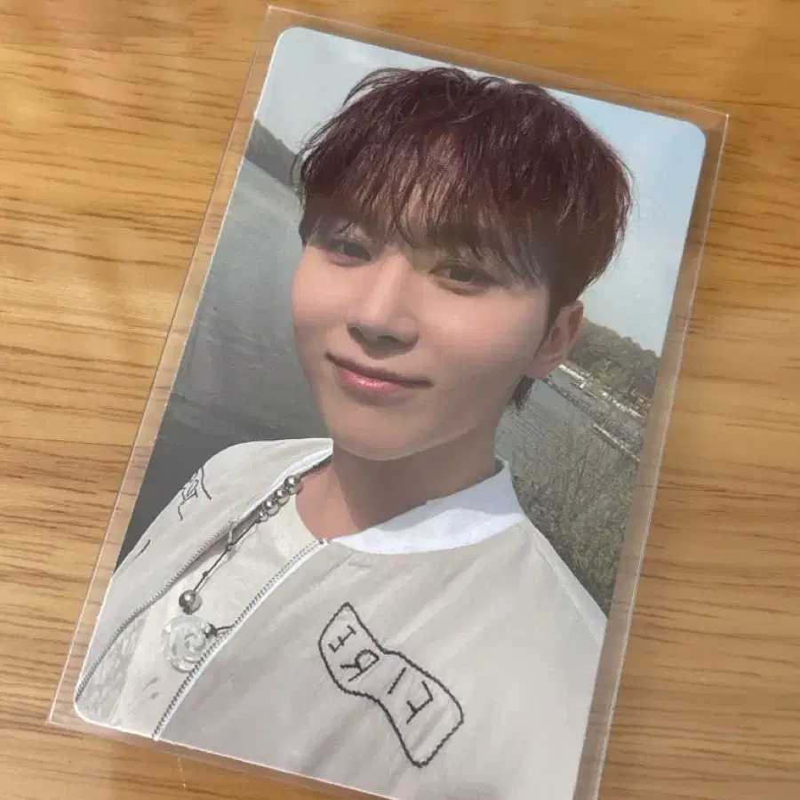 세븐틴 승관 포카