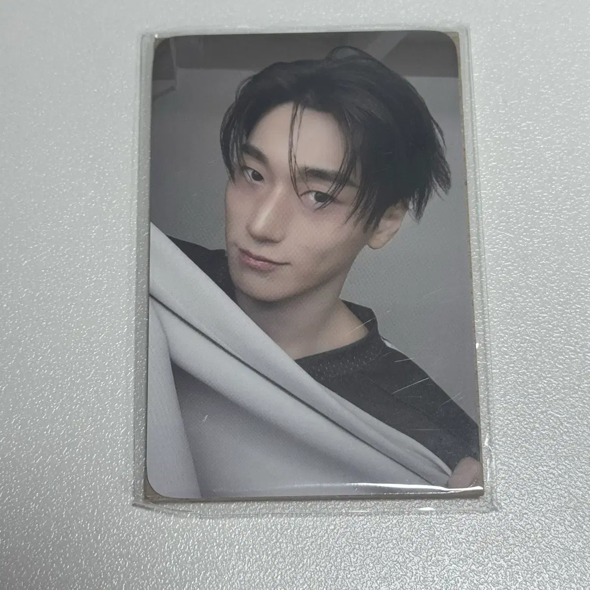 에이티즈 애니티즈 타이니 인형키링 산 포카