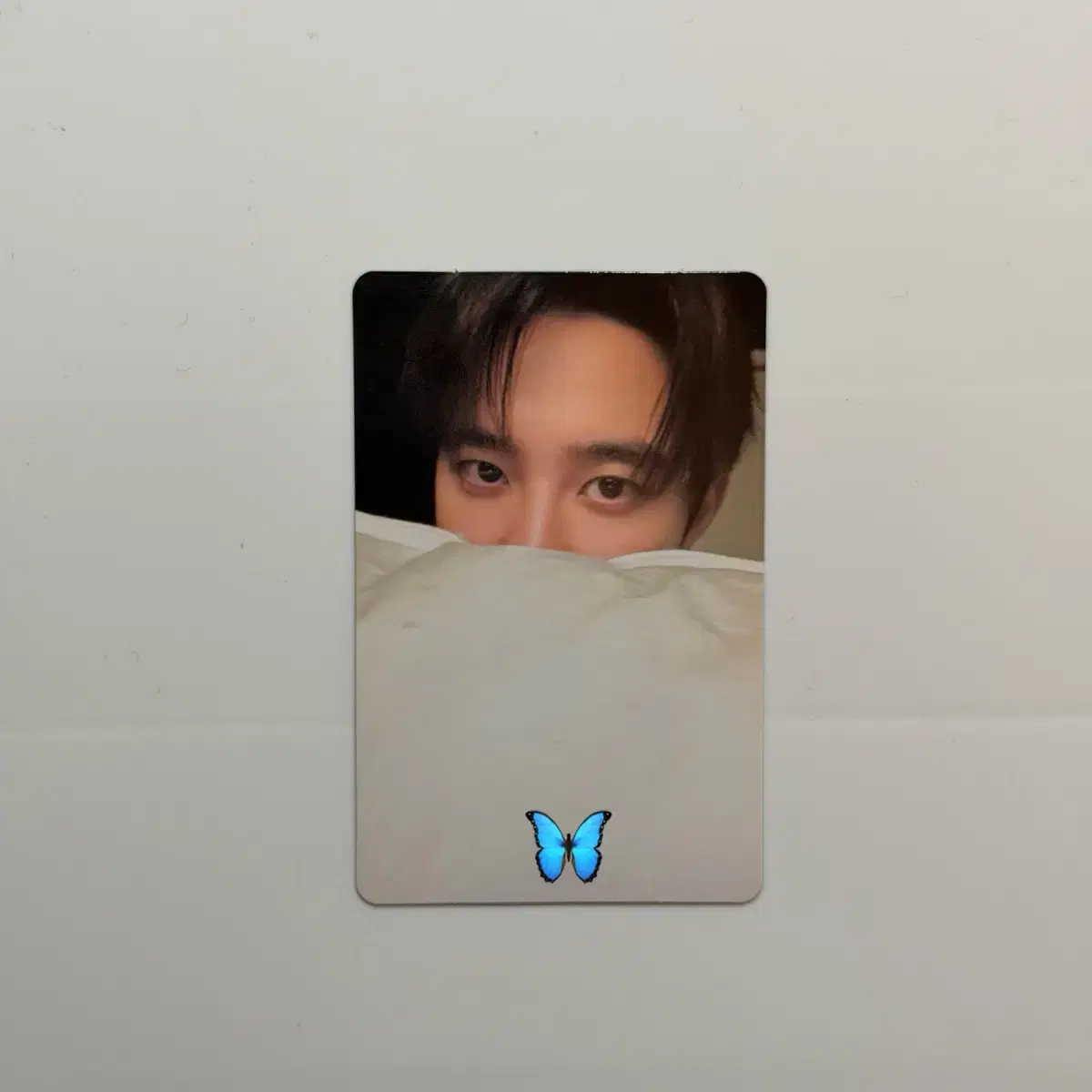 엑소 콘서트 엠디 가방 트래블백 분철 디오 경수 포카 1