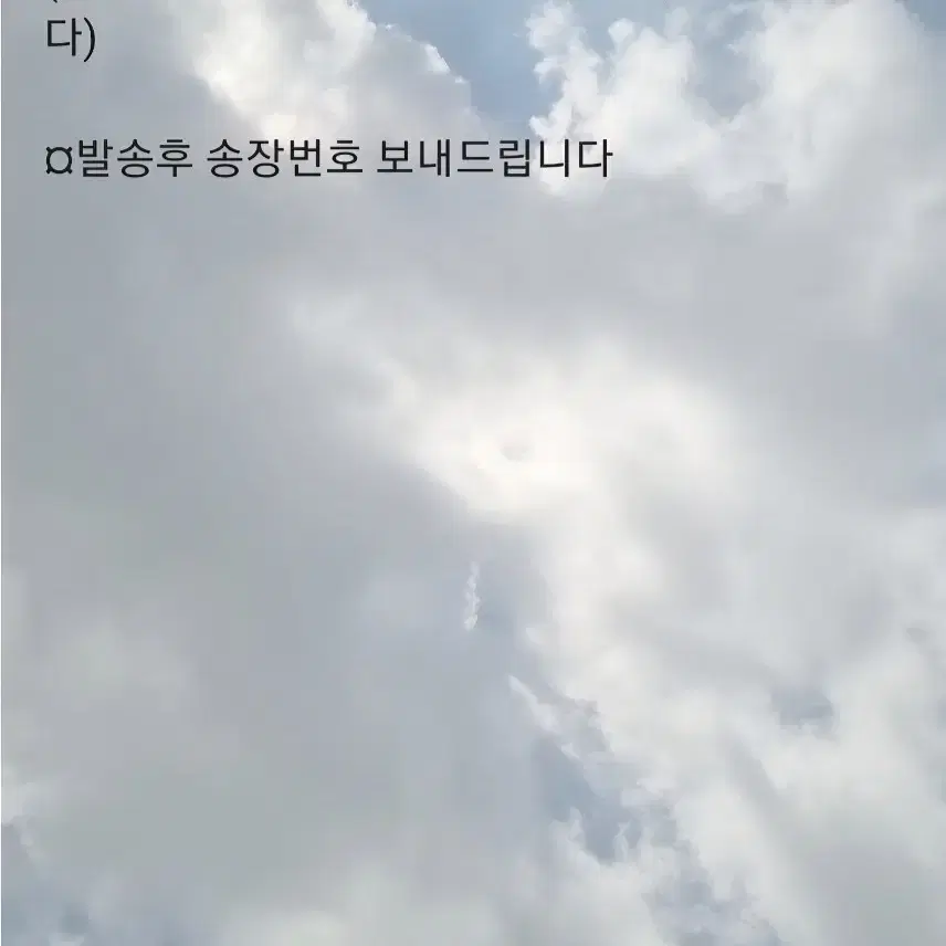 세븐틴 디노 포토카드 3